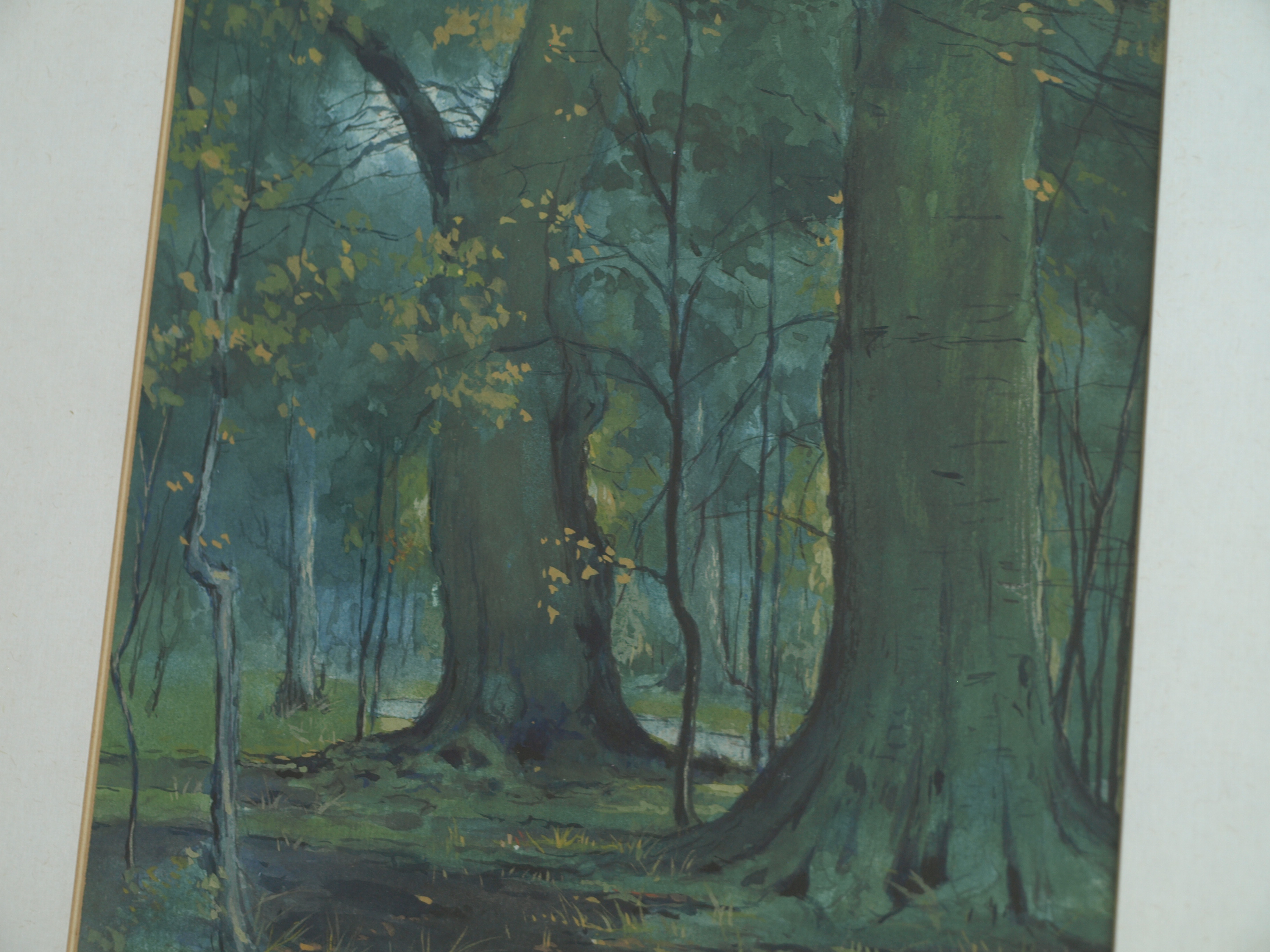 Niet of onleesbaar gesigneerd - Gouache , Bos – gesigneerd & ingelijst  kopen? Bied vanaf 1!