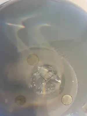 Misha Ignis - Unique schaal van Misha Ignis kopen? Bied vanaf 199!