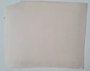 Theo van Hoytema - Vliegende torenvalk - handgesigneerde litho kopen? Bied vanaf 65!