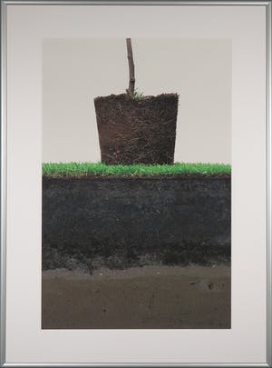 Robert Wevers - Inkjetprint, Potgrond - Ingelijst (Groot!) kopen? Bied vanaf 70!