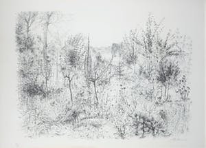 Piet Klaasse - Litho, Mijn tuin - Ingelijst kopen? Bied vanaf 35!