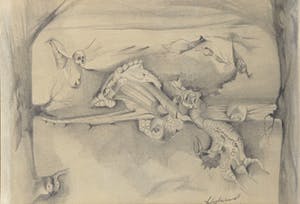 Niet of onleesbaar gesigneerd - Potloodtekening, Fantasiewezens - Ingelijst kopen? Bied vanaf 1!