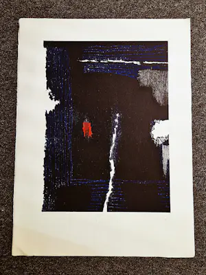 Guillaume Le Roy - grote - 1999 - E.A. kleuren lithografie met persoonl. opdracht "voor Rimi" kopen? Bied vanaf 56!