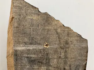 Emile van der Kruk - Studenten van Rome (Marcus Aurelius) kopen? Bied vanaf 50!