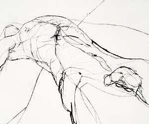 Hans Abbing - Liggend naakt, droge naald ets verkocht voor € 45!