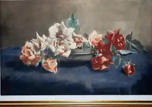Constantia Arnolda Balwe - Stilleven met rozen - kleurenlitho (zeldzaam) verkauft für € 36!
