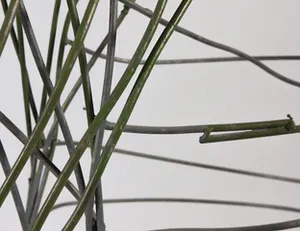 Arjanne van der Spek - Assemblage, Little room kopen? Bied vanaf 150!