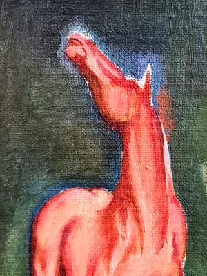 Niet of onleesbaar gesigneerd - Roze Paard kopen? Bied vanaf 1!