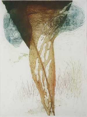 Hans Laban - Kleurenets, In de wind - Ingelijst (Groot) kopen? Bied vanaf 1!