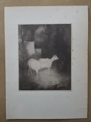 Jan Mankes - Twee geitjes kopen? Bied vanaf 39!