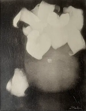 Jan Mankes - Originele Heliogravure Aronskelken 1923 kopen? Bied vanaf 85!