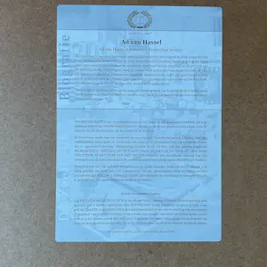 Ad van Hassel - Vier tulpen. kopen? Bied vanaf 25!