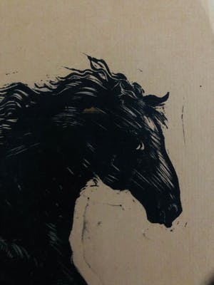 Rein Snapper - Steigerende paarden kopen? Bied vanaf 20!