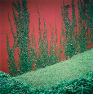 Eva Roovers - Foto, Sao Paulo 1 - Ingelijst (Groot) kopen? Bied vanaf 150!