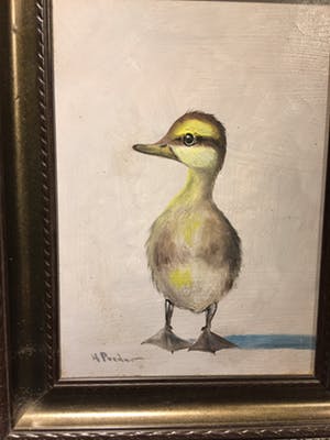 Henk Poeder - Eendje kopen? Bied vanaf 50!