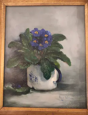 Albert Wessels - Viooltjes in potje kopen? Bied vanaf 175!