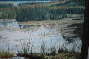 Simon Stolp - Het Naardermeer - groot olieverfschilderij - mooi ingelijst kopen? Bied vanaf 150!