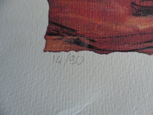 Peter Klashorst - Zeefdruk. Titel , Sap - gesigneerd - 90ex. kopen? Bied vanaf 35!