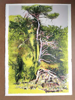 Giancarlo Cazzaniga - Technique mixte 1997 – Sérigraphie & eau-forte – 70×50 cm – Signée & numérotée kopen? Bied vanaf 140!