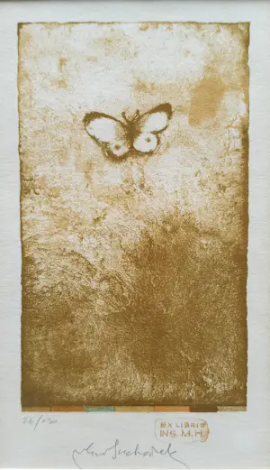 Vladimir Suchanek - lot van 4 stuks ingelijste gesigneerde litho’s kopen? Bied vanaf 79!