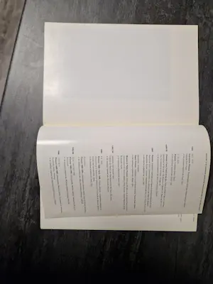 Pablo Picasso - picasso kopen? Bied vanaf 35!