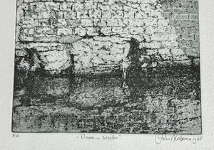 Rins Heidema - Leven in water kopen? Bied vanaf 30!