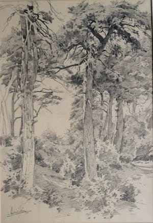 Adrianus Miolee - Duinlandschap met dennen kopen? Bied vanaf 45!