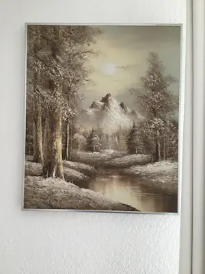 Niet of onleesbaar gesigneerd - bosgezicht kopen? Bied vanaf 10!