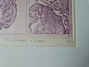 Ab Steenvoorden - Grote kleuren Ets "beeldverhaal van Albrecht Dürer" - beperkte oplage (100) kopen? Bied vanaf 28!