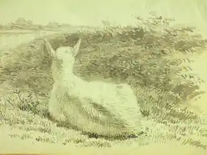 Frans Lebret - Liggend schaap - Penseeltekening verkauft für € 45!