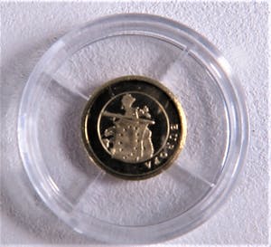 20-22K Goud - 1 muntje 0,5 gram goud kopen? Bied vanaf 1!