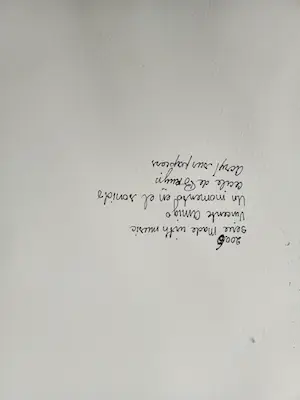 Cecile de Bruijn - Un momento kopen? Bied vanaf 29!