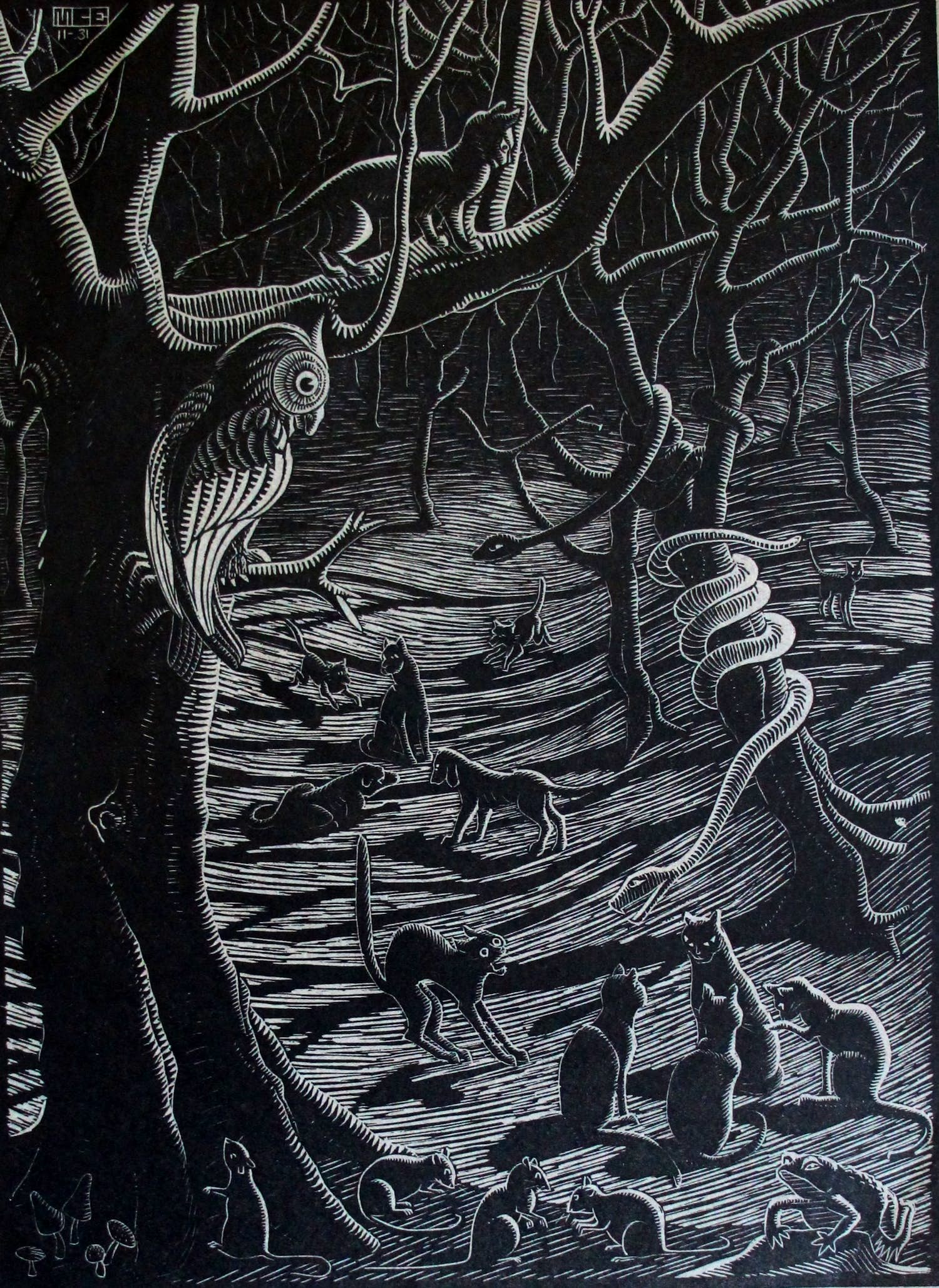 M.C. Escher - houtsnede: Scholastica - 1931 kopen? Bied vanaf 195!