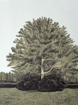 Sees Vlag - "Park" verkocht voor € 70!