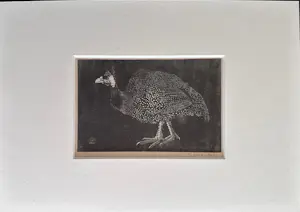 Jan Mankes - Originele Heliogravure Parelhoen 1923 kaufen? Bieten Sie von 110!