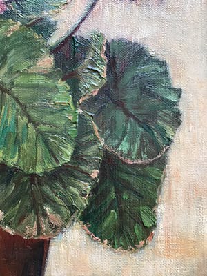 H. Wiegman - Olieverf schilderij roze plant in pot, gelijst en gesigneerd kopen? Bied vanaf 45!