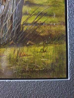 Jan Teunissen - Twee kalveren in weiland kopen? Bied vanaf 200!