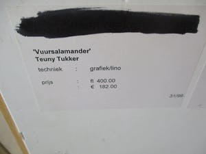 Teuny Tukker - Vuursalamander kopen? Bied vanaf 50!