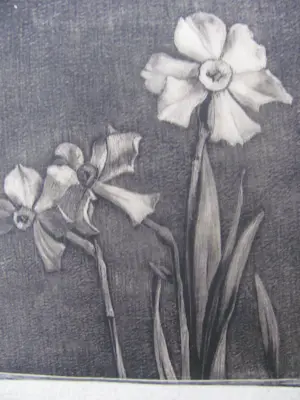 Anna Egter van Wissekerke - narcissen kopen? Bied vanaf 50!