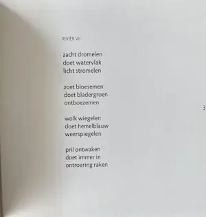 Willemien van Gurp - Loslaten kopen? Bied vanaf 20!