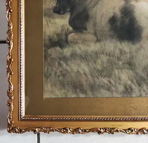 Frederik Jbzn Engel - Koeien kopen? Bied vanaf 200!