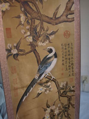 Niet of onleesbaar gesigneerd - Japanse of Chinese scroll, “Vogel op tak” - Aquarelverf en inkt op papier kopen? Bied vanaf 1!