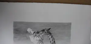 Peter Vos - Litho: gevoel kopen? Bied vanaf 150!