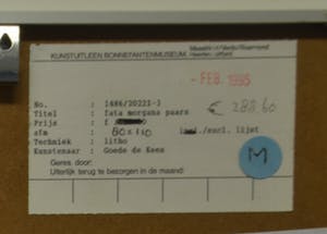 Kees de Goede - Fata Morgana Paars, 1995 - Litho op papier kopen? Bied vanaf 50!