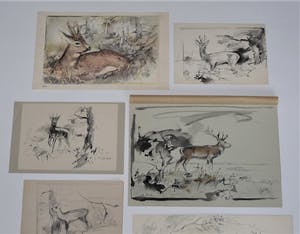 Floris Tiele - 7x diertekening van reeën kopen? Bied vanaf 39!