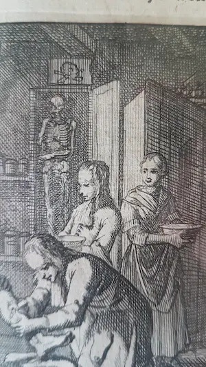 Jan Luyken - De Chirurgyn kopen? Bied vanaf 39!