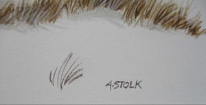 Ari Stolk - Buizerd en reeën kopen? Bied vanaf 45!