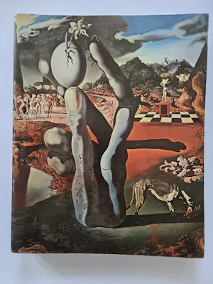 Salvador Dali - Zes boeken over en door Dali. Drie boeken over surrealisme. kopen? Bied vanaf 20!