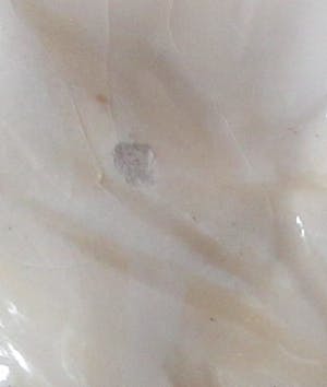 Niet of onleesbaar gesigneerd - Aardewerk beeld van naakte vrouw op blauwe rots kopen? Bied vanaf 1!
