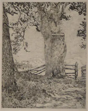 Willem de Zwart - Verboden toegang kopen? Bied vanaf 39!